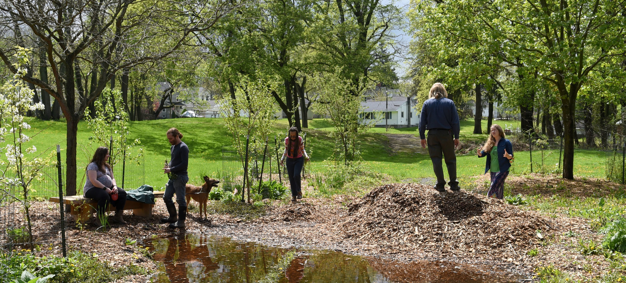 Auburn Permaculture Park 4